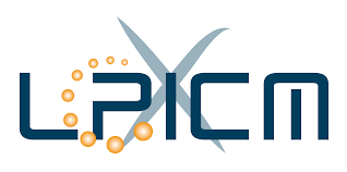 Logo LPICM